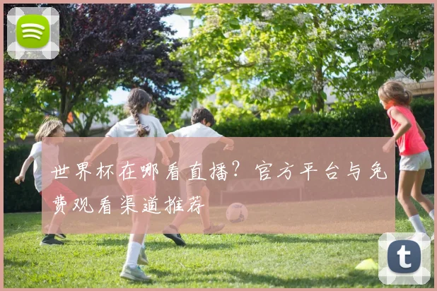 世界杯在哪看直播？官方平台与免费观看渠道推荐