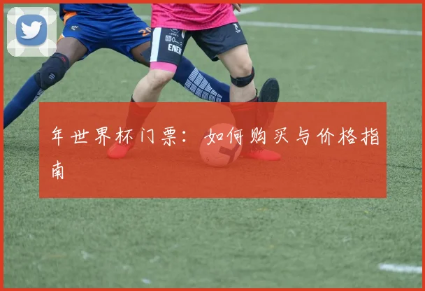 年世界杯门票：如何购买与价格指南