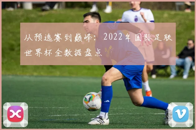 从预选赛到巅峰：2022年国际足联世界杯全数据盘点