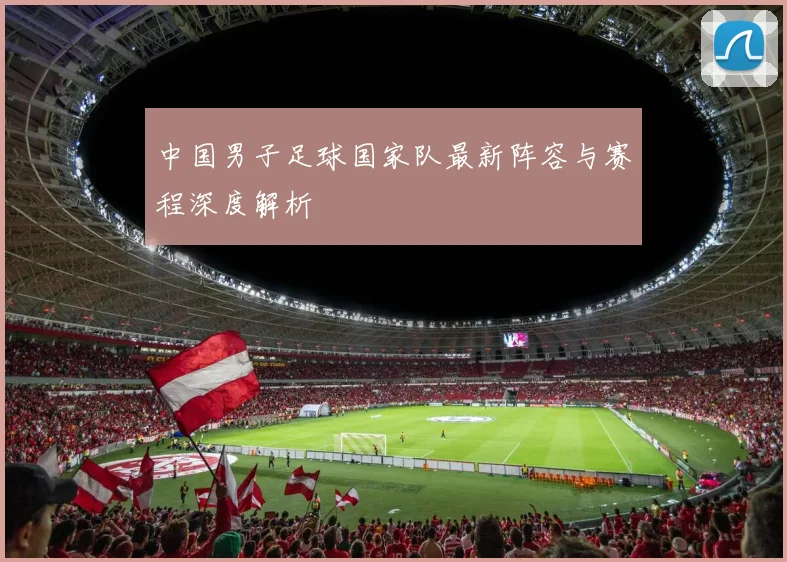 中国男子足球国家队最新阵容与赛程深度解析