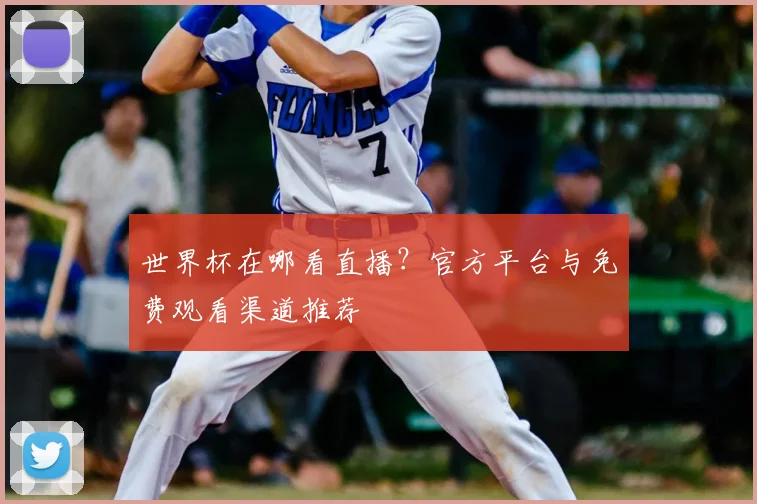 世界杯在哪看直播？官方平台与免费观看渠道推荐